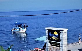 Nitelli'S Houses